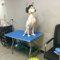 แอด