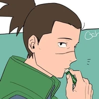 Iruka Umino