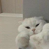 กูก็ไม่รู้