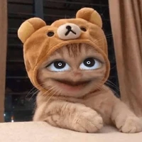 แอดเอง🤍🤘💐😺