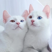 axel et mine