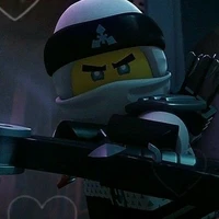 y/n