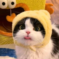 ？แอดเองง？？