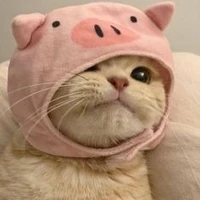 moi : auteur !!!