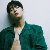 Cha Eunwoo