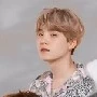 Suga