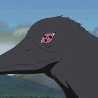 Shisui 