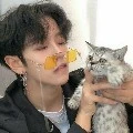 Ti_ger🐯