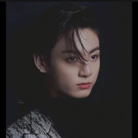 jeon jungkook/jk