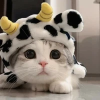 โมโม้