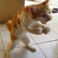 เป็นทุกอย่างให้เธอแล้ว