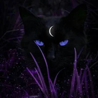 เรย์ [ ร่างแมว ]