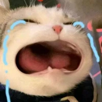 เเอดเอง