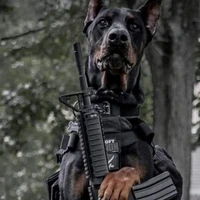 อังเกิ้อ(หมาเปรม)