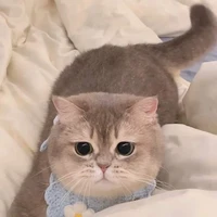 แอด