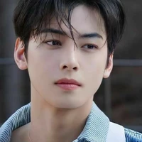 cha eun woo