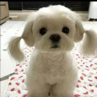ผู้ช่วย  แอด เอง!