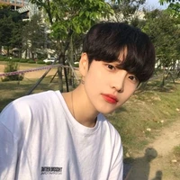 Lim Jae