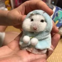 แอด