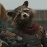 ร็อคเก็ต เเรคคูน🦝