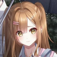 Y/n