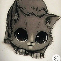 °•-Meia-Noite