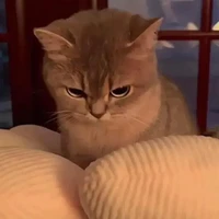 เเอดเอง