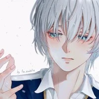 Zevy (Mc)