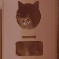 เเอดเอง