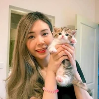 แอดเอง