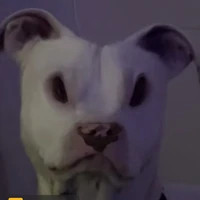 demônio