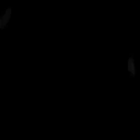 Vampire 