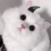 เคเมียว(นอ.ร่างแมว)​