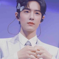 Wei wuxian(zhanzhan)