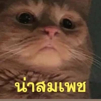 อะไรก็ได้