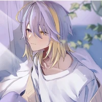 aster arcadia