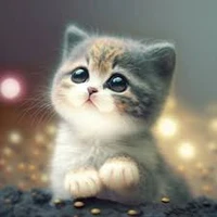 คนอ่านที่น่า(ลักกลับบ้าน)รักทุกคน