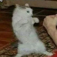 แอด😏🙄😒