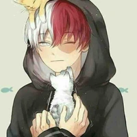 Shoto 💙🔥❄️
