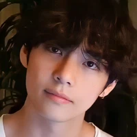 Vincet (Wolf in control)