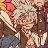 ชินาซึงาวะ ซาเนมิ