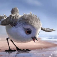 โนเอะ(นกคู่หูของฮารุกะ)