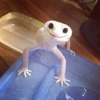 แอดเอง