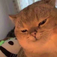 เเอดเองจ้า