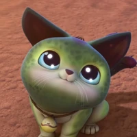 Cattus