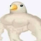 ᴀᴜᴛᴏʀᴀ