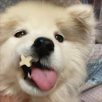แอดไงง