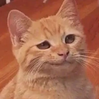 แอดเองฆร่ะ😔🤟
