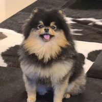 โชยุ