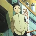 sikadai
